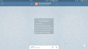 A Telegram secret chat screen showing an invitation to join a private conversation with features listed including end-to-end encryption, no server trace, self-destruct timer, and no message forwarding — highlighting Telegram as a secure Snapchat alternative for private messaging.